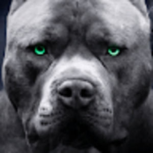 Meet your Posher, Ross